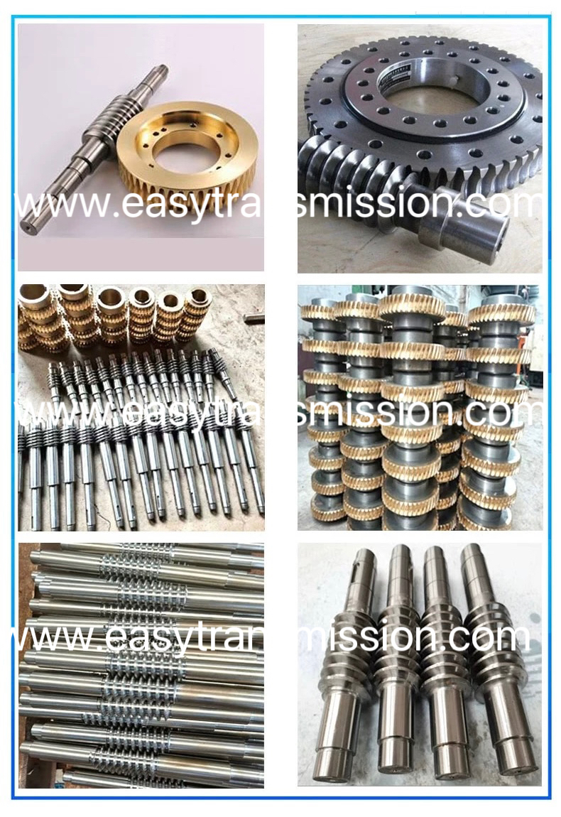 IMG_4011.jpeg IMG_4011.jpeg